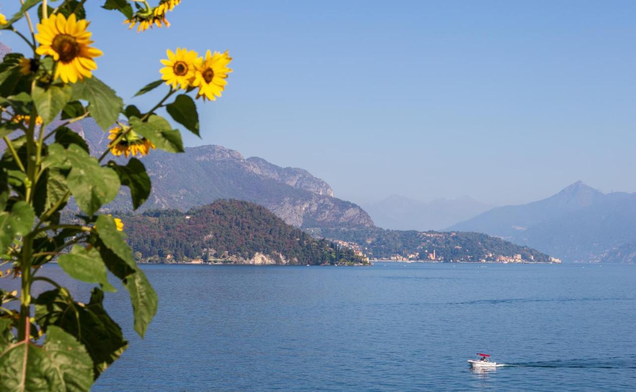 Appartamento Sosta Sul Lago Lezzeno Εξωτερικό φωτογραφία